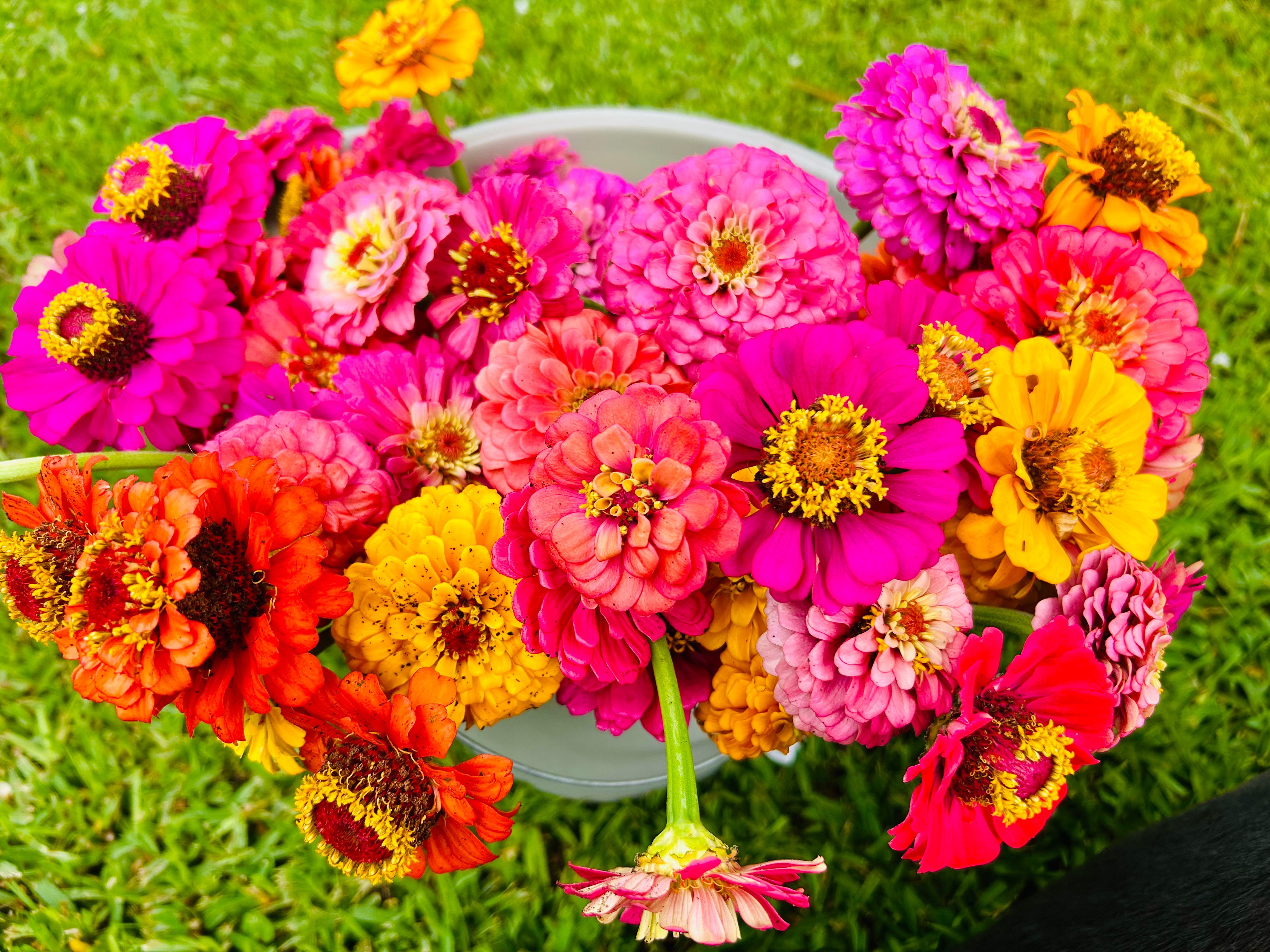 flowers