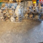Fresh Quail Eggs - Image 2