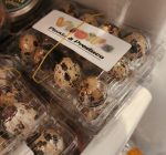Fresh Quail Eggs