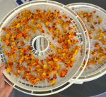 dried marigold petals