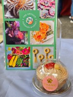 Mini Strawberry Piña Colada Pupcakes - Image 2